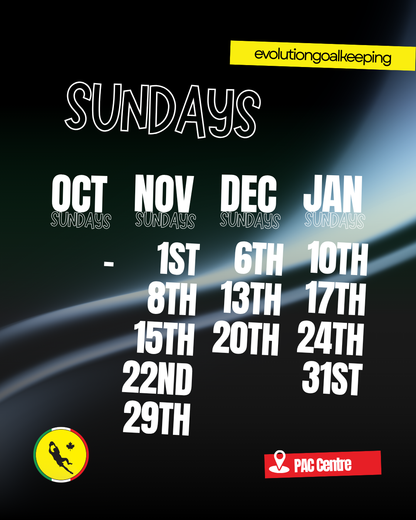 SUNDAYS Winter Block: Nov to Sep - Goalkeeper Training
